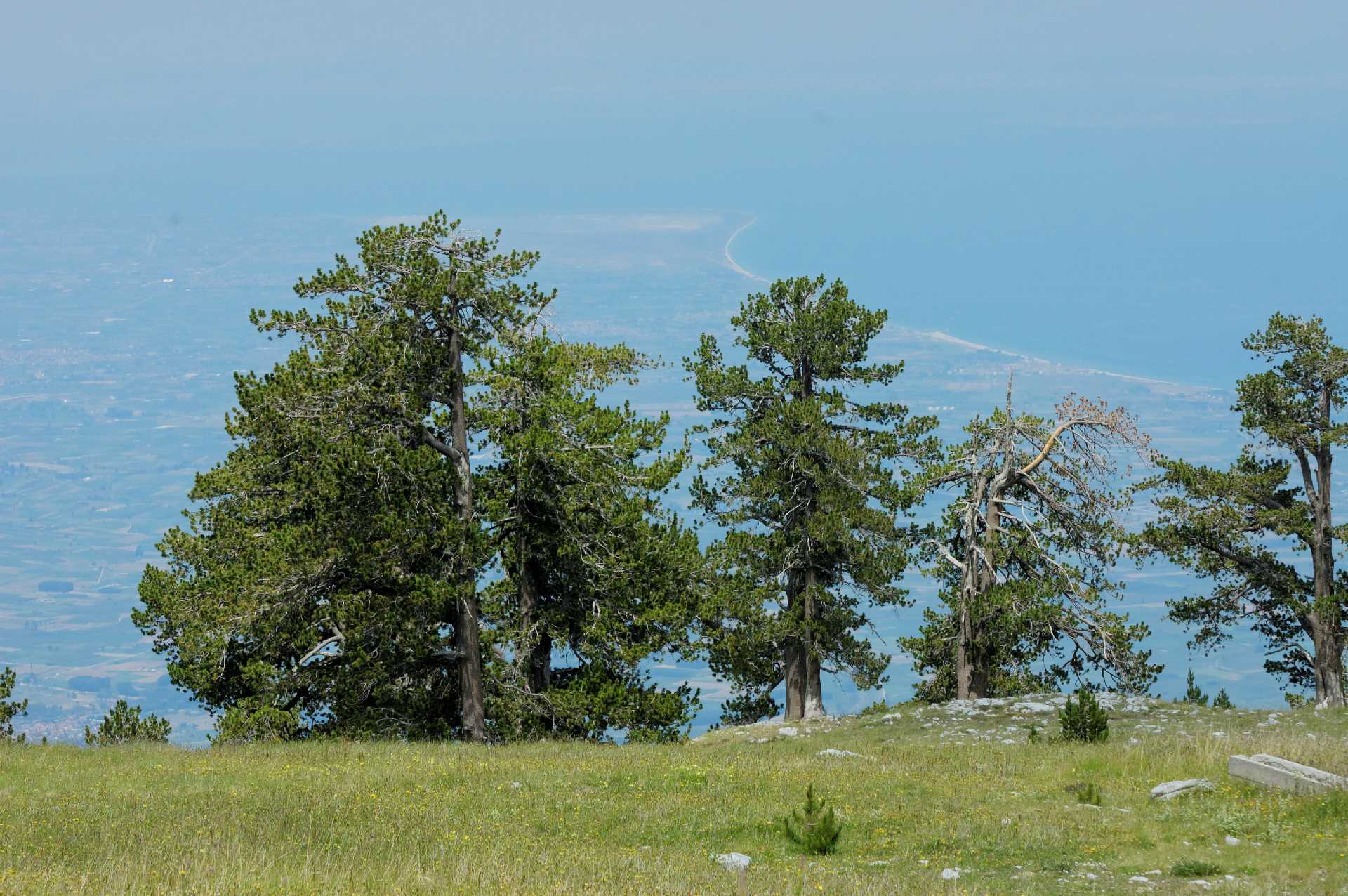 kato apo to katafygio livadaki